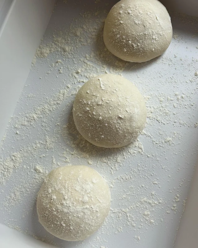 Manifesting a pizzaiola life for myself as I make this dough, guided by #TheElementsofPizza by @kenforkish.